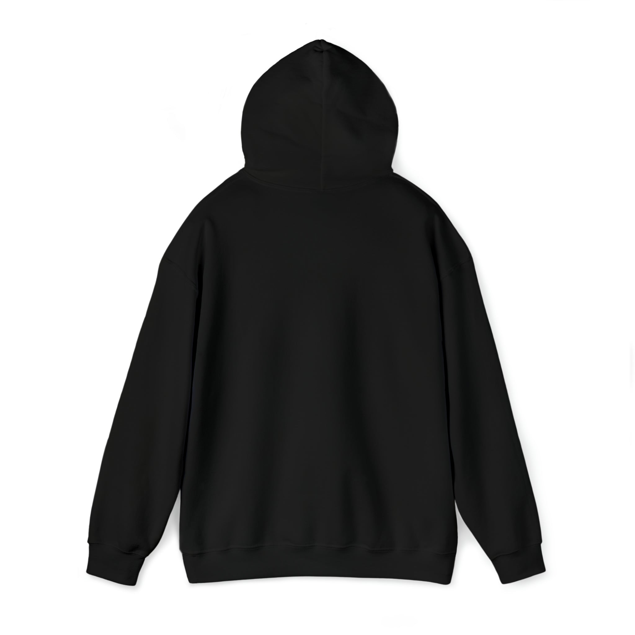 TtCo | Teacher Elf Hooded Sweatshirt