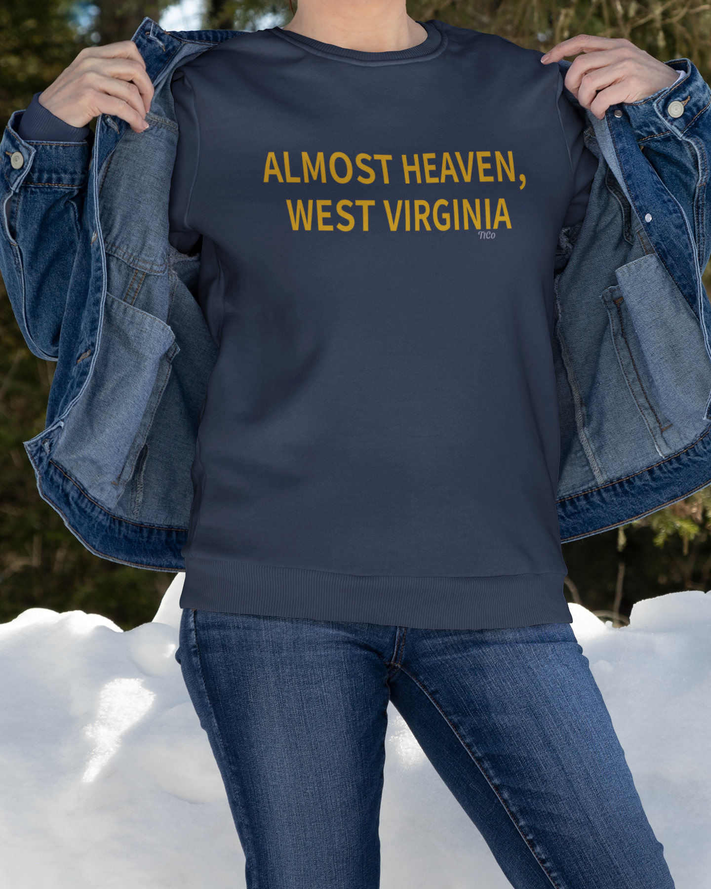 TtCo | Almost Heaven West Virginia Crewneck Sweatshirt